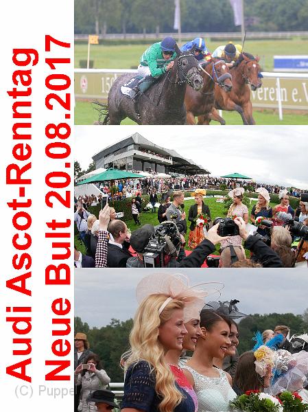2017/20170820 Neue Bult Audi Ascot Renntag/index.html